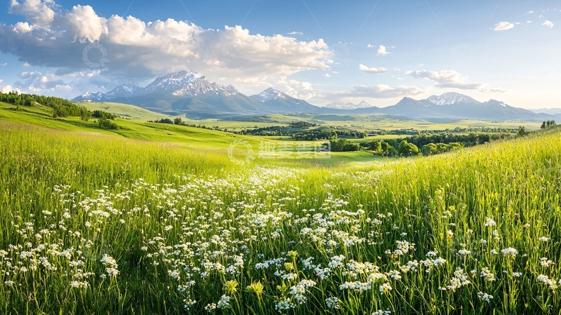 高清大图下载【趣麦麦图】夏日山间花海风景