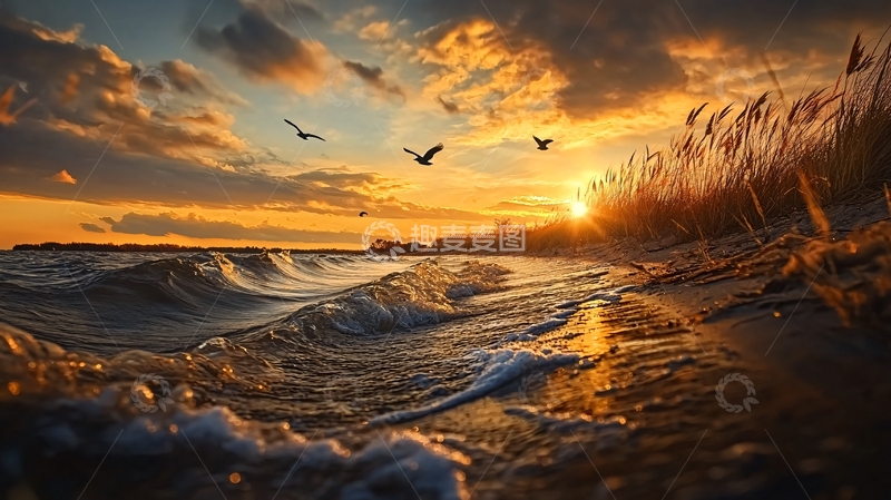 高清大图下载【趣麦麦图】日落海滩海浪与飞鸟