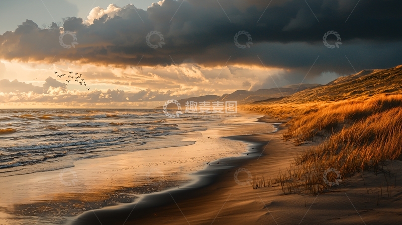 高清大图下载【趣麦麦图】夕阳下的海滩与海鸟