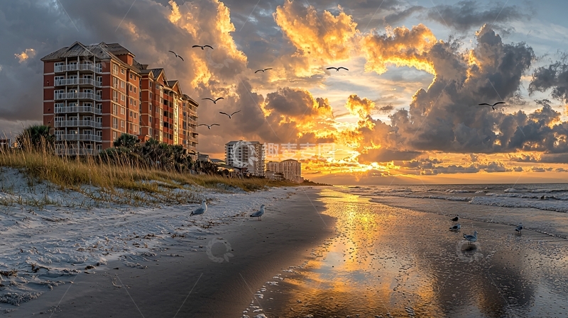 高清大图下载【趣麦麦图】日落海滩上的海鸥与酒店