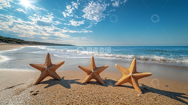 高清大图下载【趣麦麦图】海滩上的海星自然风光