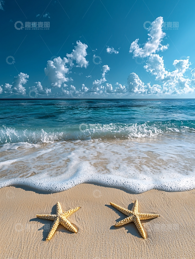高清大图下载【趣麦麦图】海滩上的海星与海浪