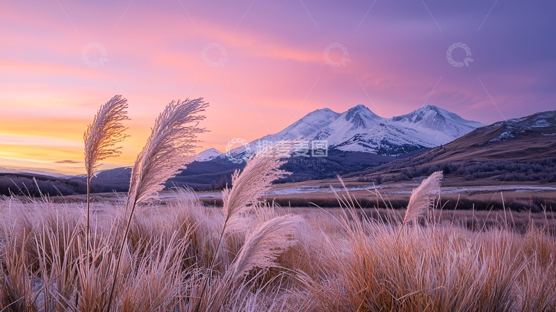 高清大图下载【趣麦麦图】雪山日出下的芦苇风景