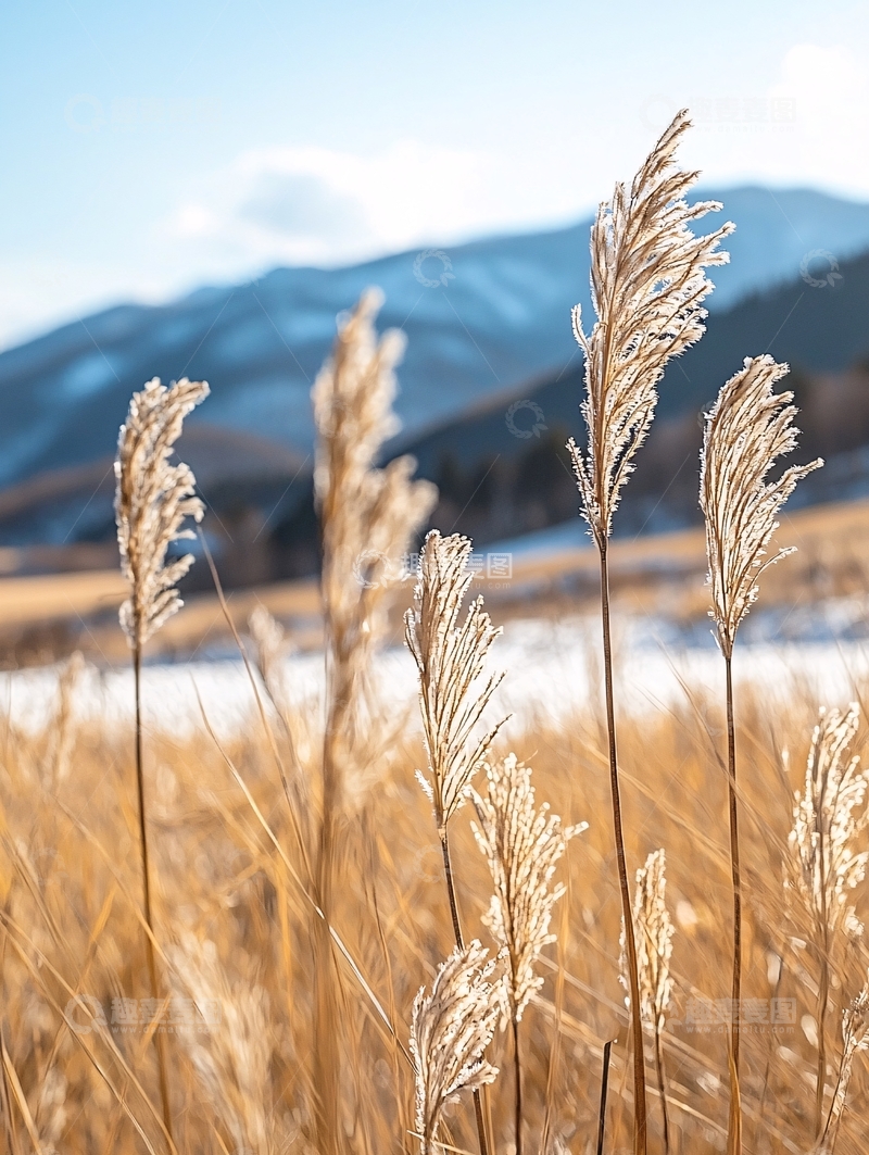 高清大图下载【趣麦麦图】冬日田野上的干草