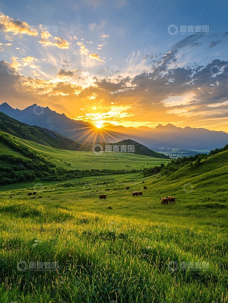高清大图下载【趣麦麦图】夕阳下的草原牧场