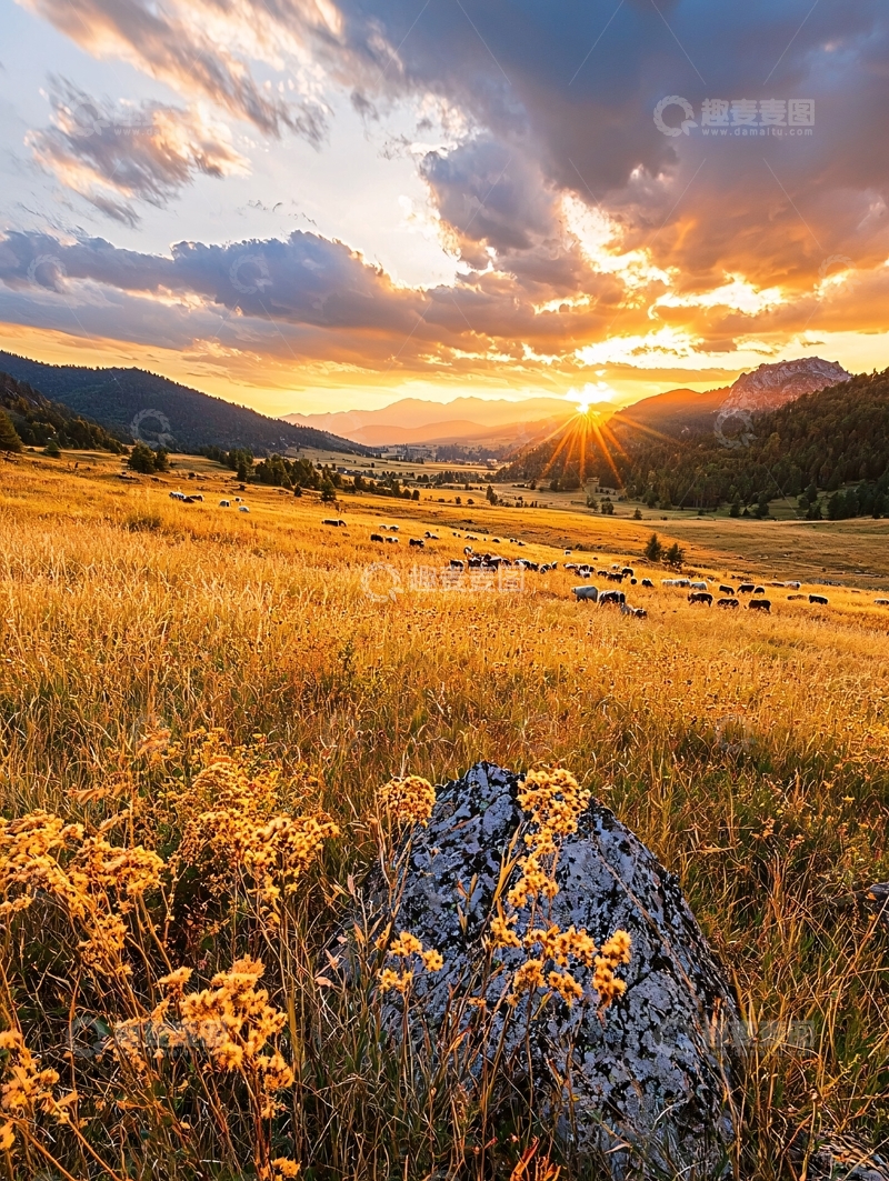 高清大图下载【趣麦麦图】夕阳下的草原与羊群