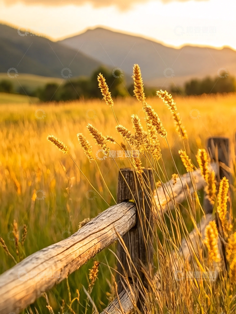 高清大图下载【趣麦麦图】夕阳下的田野与木栅栏
