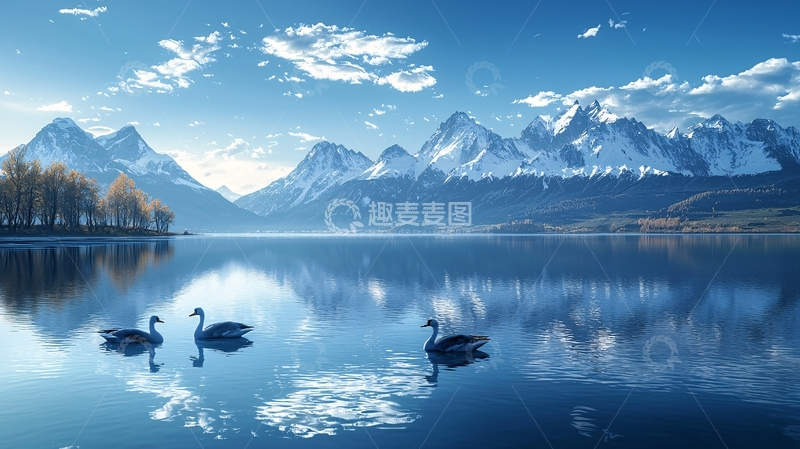 高清大图下载【趣麦麦图】雪山湖畔天鹅静谧图