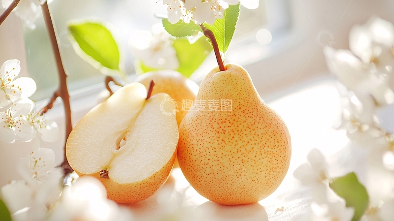 高清大图下载【趣麦麦图】阳光下的梨与花