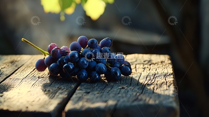 高清大图下载【趣麦麦图】阳光下的葡萄串
