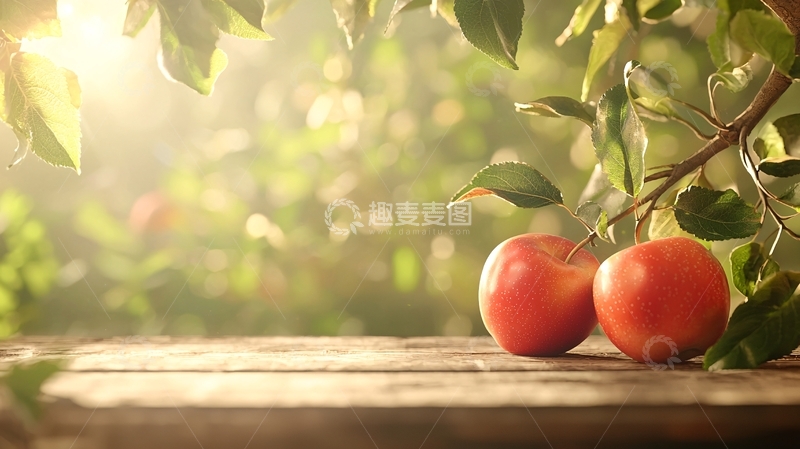 高清大图下载【趣麦麦图】阳光下的苹果与树叶
