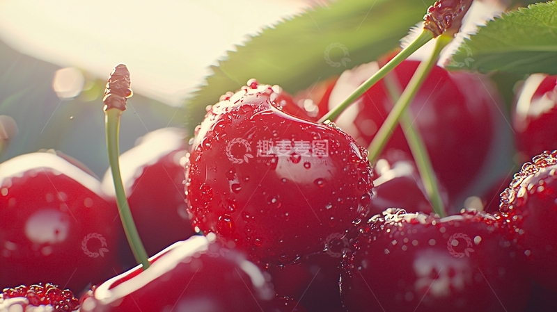 高清大图下载【趣麦麦图】阳光下的樱桃果实特写
