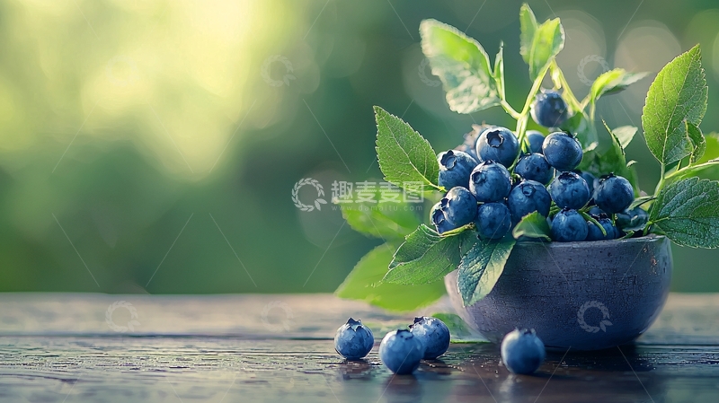 高清大图下载【趣麦麦图】夏日新鲜蓝莓水果装饰
