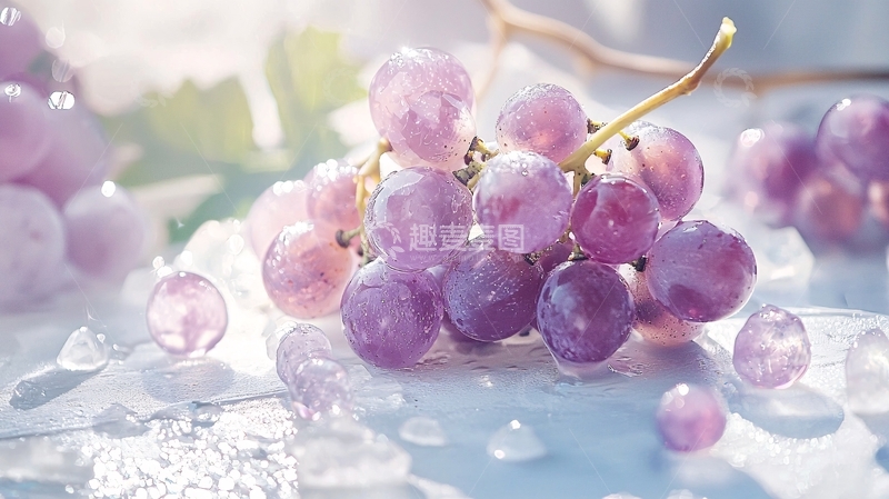 高清大图下载【趣麦麦图】冰上紫葡萄水果素材