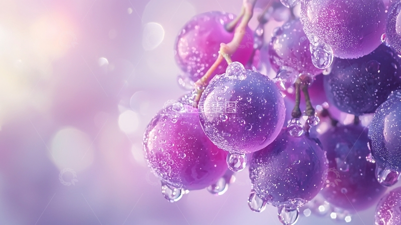 高清大图下载【趣麦麦图】紫色葡萄水珠特写