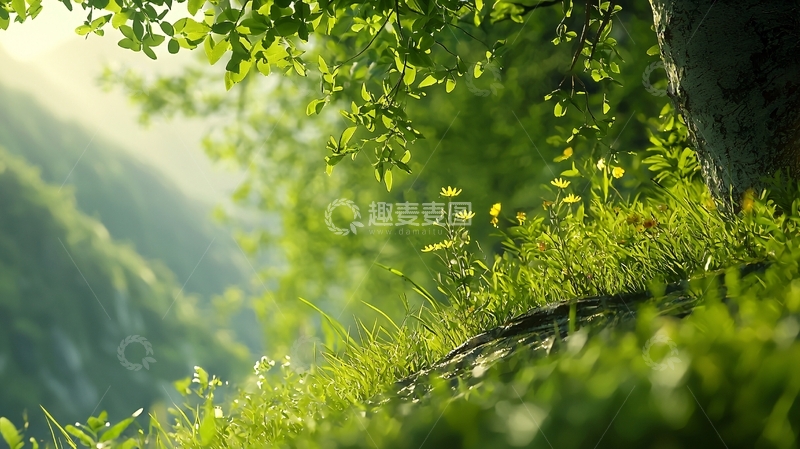 高清大图下载【趣麦麦图】山间绿意盎然自然风光