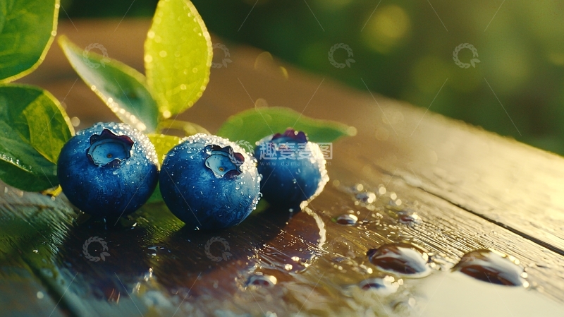 高清大图下载【趣麦麦图】清晨阳光下的蓝莓与绿叶