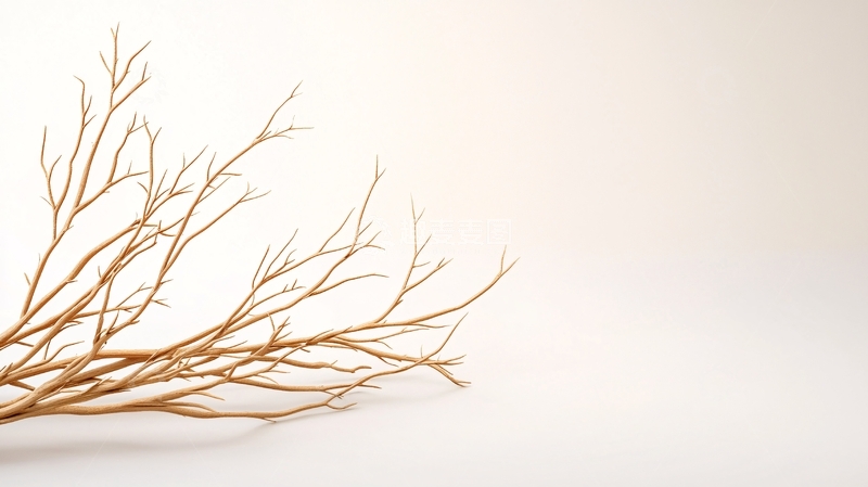 高清大图下载【趣麦麦图】-枯树枝自然背景