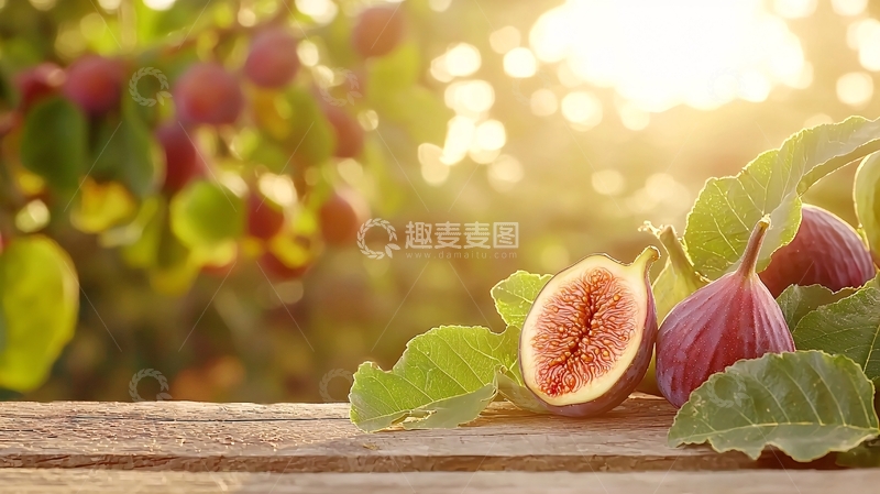 高清大图下载【趣麦麦图】阳光下的无花果与树叶
