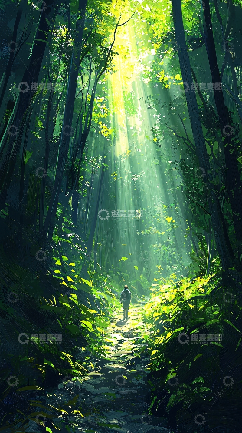 高清大图下载【趣麦麦图】森林中的阳光小径