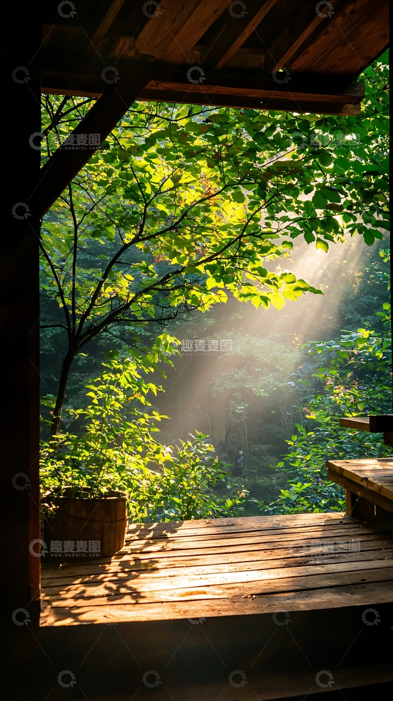 高清大图下载【趣麦麦图】阳光透过树叶洒在木制平台上
