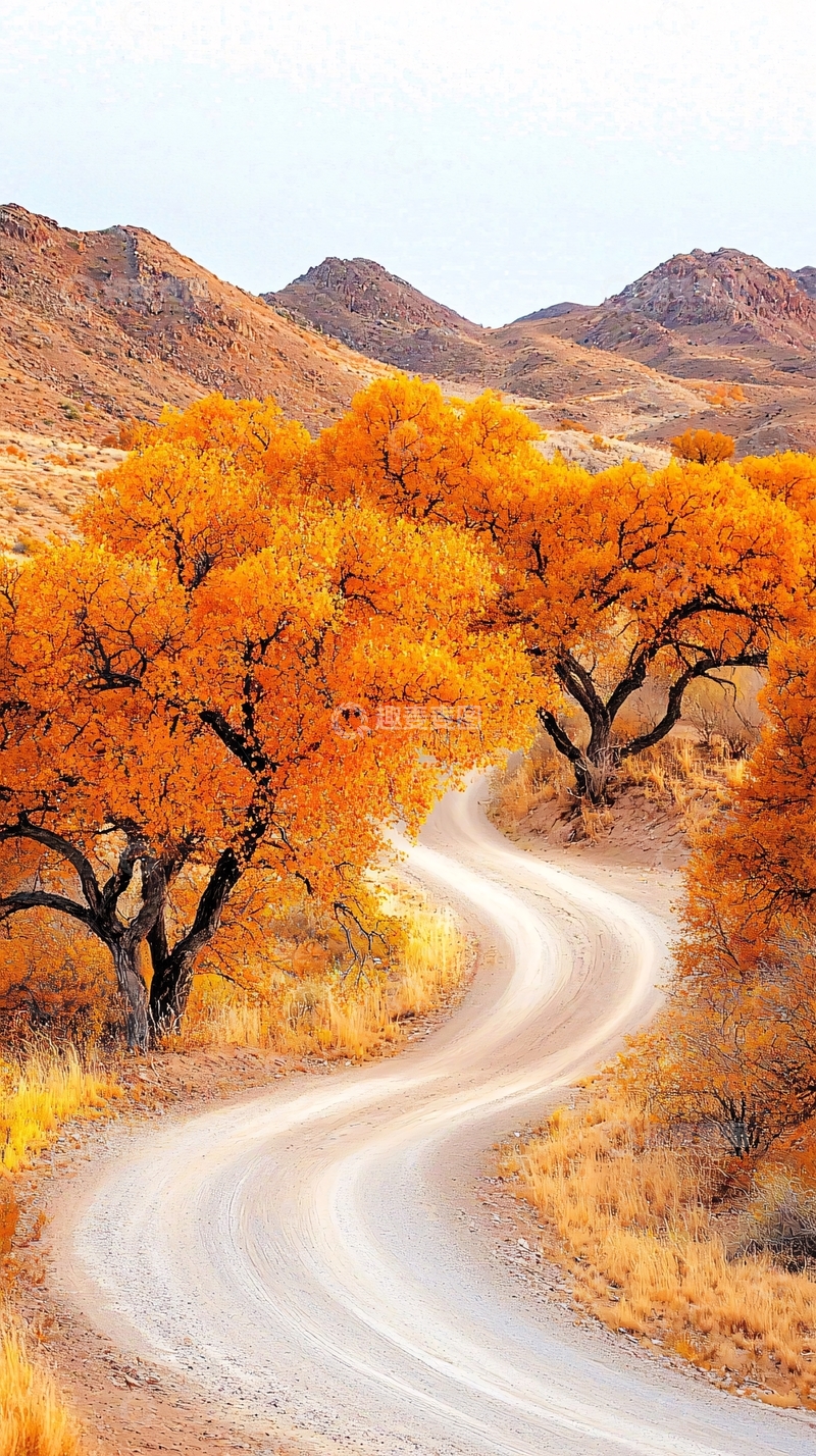 高清大图下载【趣麦麦图】秋日山间蜿蜒小路