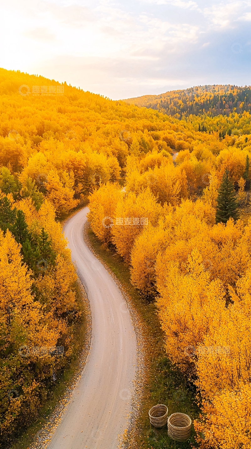 高清大图下载【趣麦麦图】秋日森林小路风景