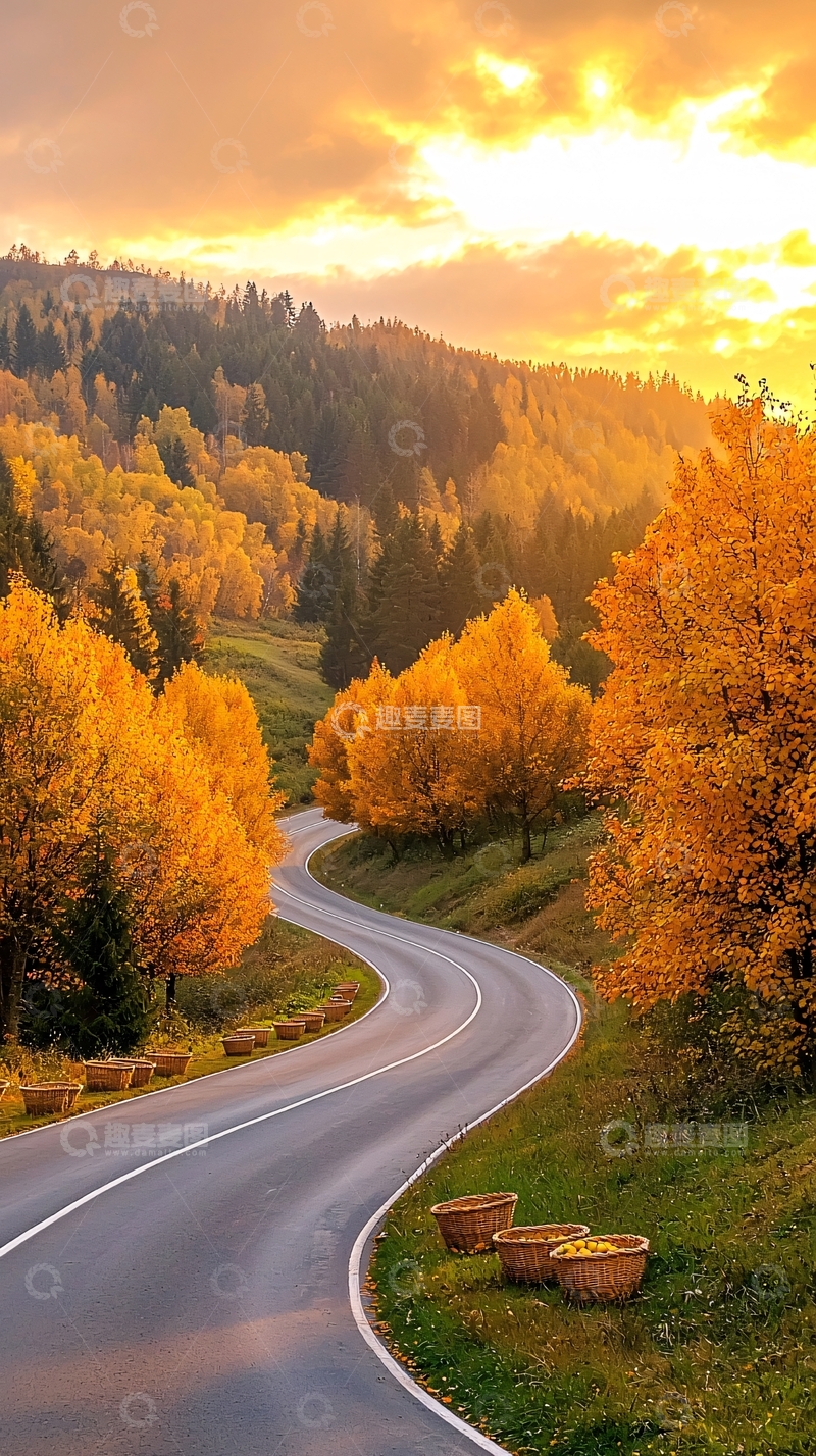 高清大图下载【趣麦麦图】秋日森林中的蜿蜒公路