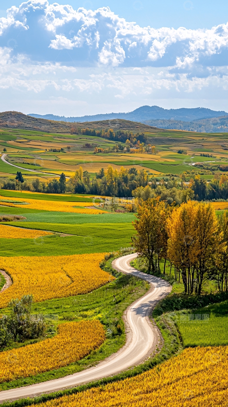 高清大图下载【趣麦麦图】蜿蜒乡村小路与金黄稻田