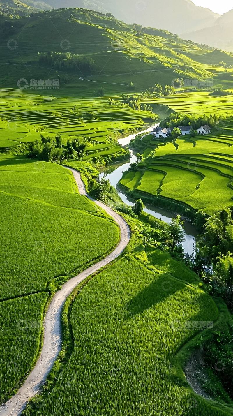 高清大图下载【趣麦麦图】梯田风光下的乡村小路