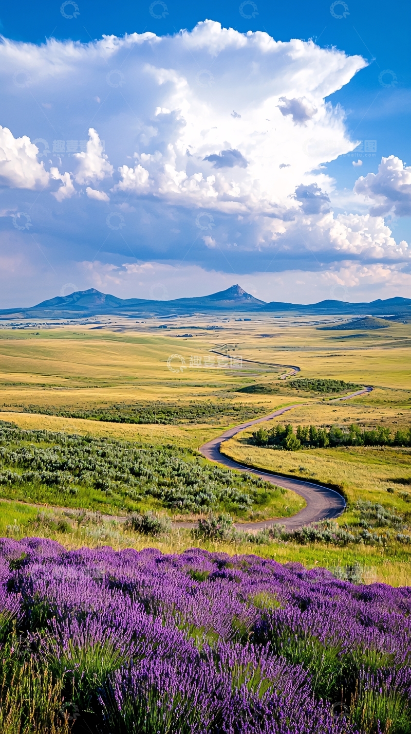 高清大图下载【趣麦麦图】草原上的蜿蜒小路与紫色薰衣草