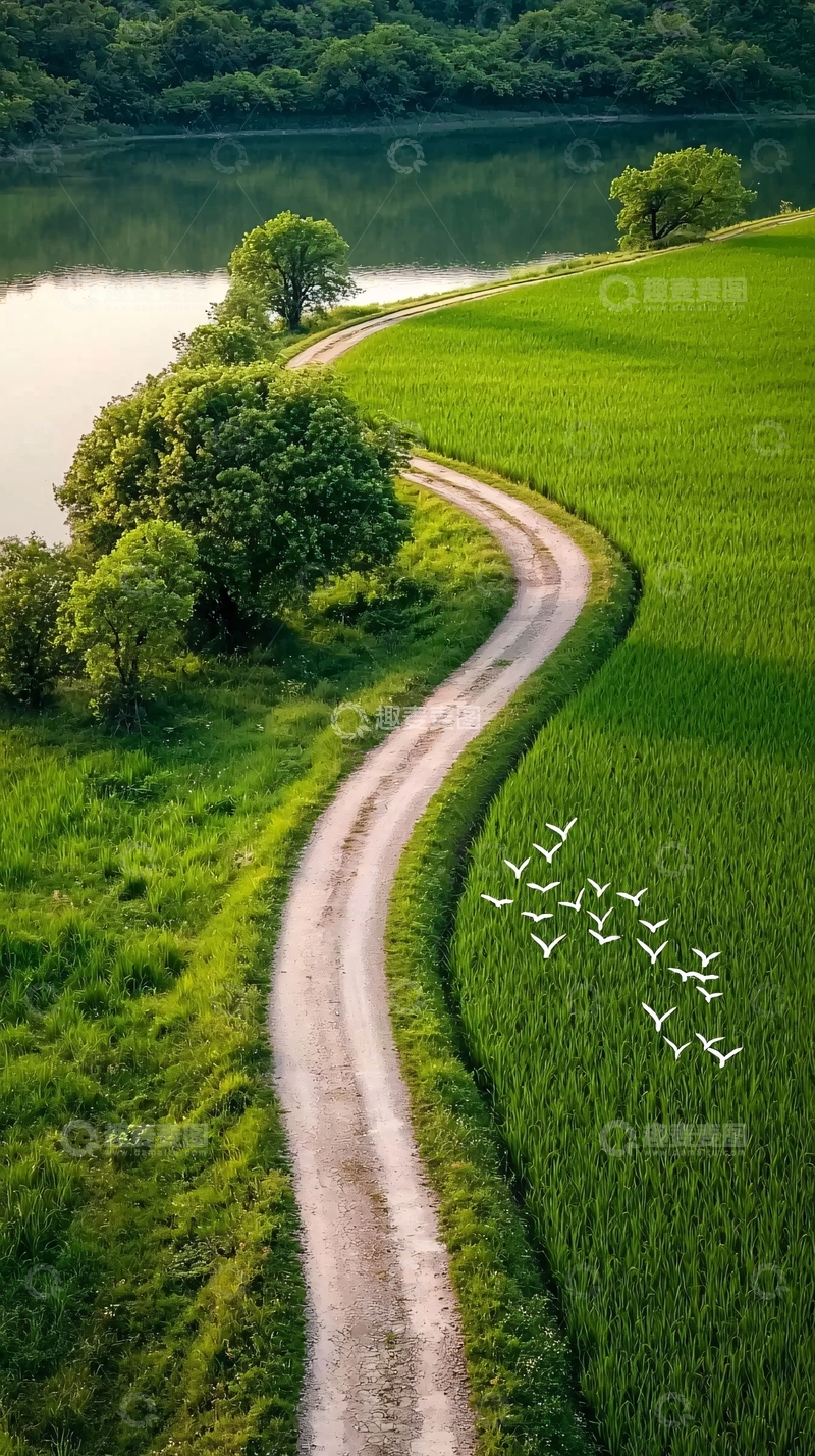 高清大图下载【趣麦麦图】乡村小路与稻田风景