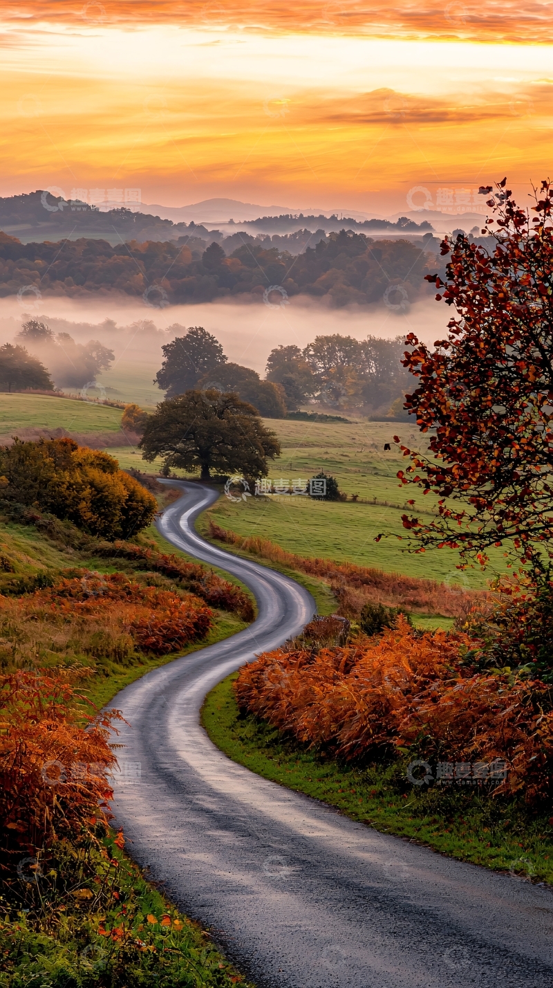 高清大图下载【趣麦麦图】秋日晨雾中的蜿蜒小路