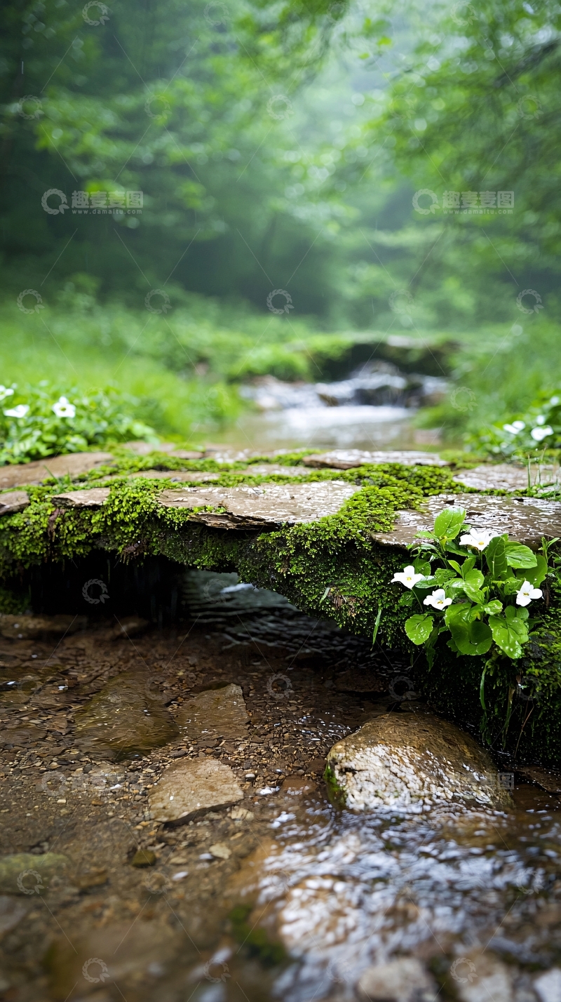 高清大图下载【趣麦麦图】雨后小溪上的苔藓石桥