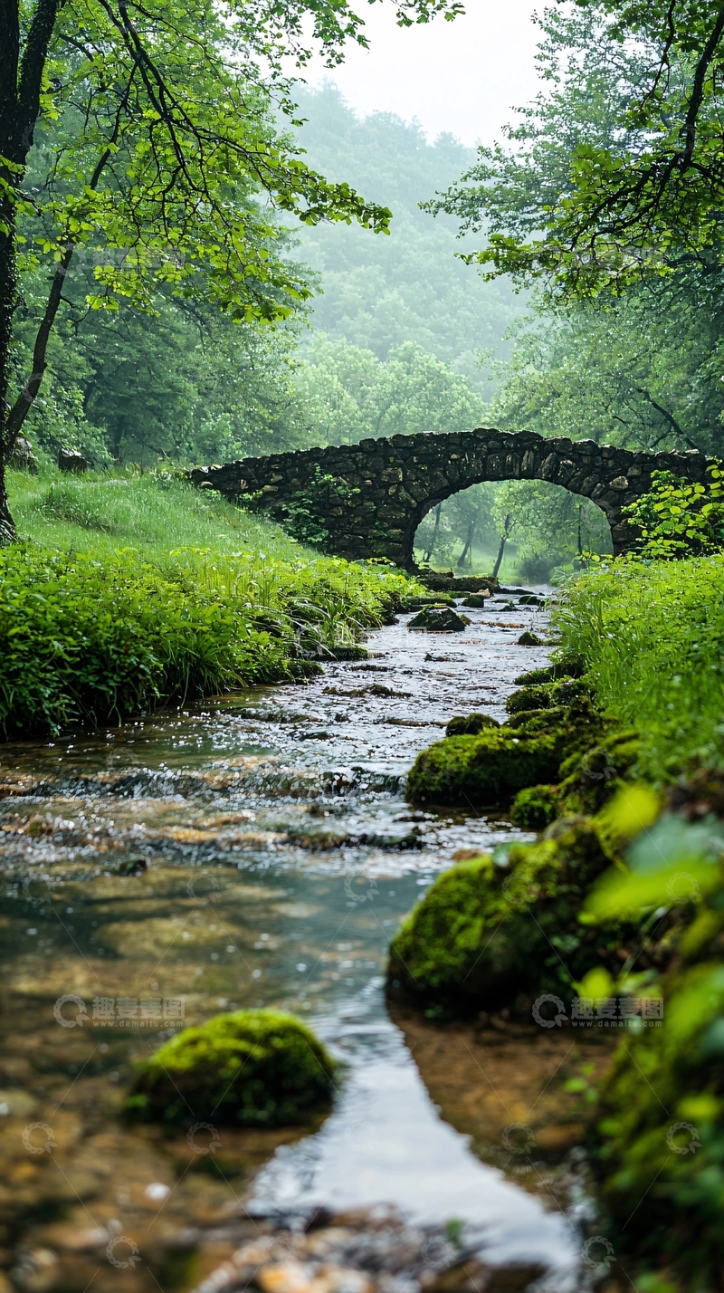 高清大图下载【趣麦麦图】雨后小溪上的石桥