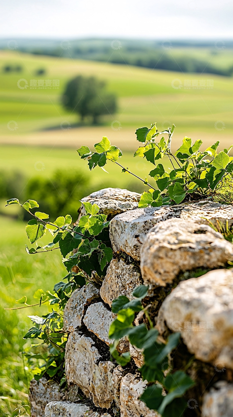 高清大图下载【趣麦麦图】石墙上的绿植与田野风光