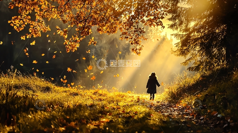 高清大图下载【趣麦麦图】秋日阳光下的孤独身影