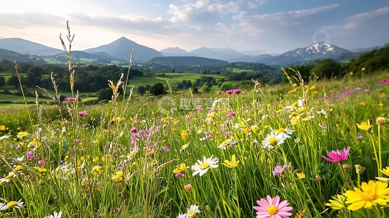 高清大图下载【趣麦麦图】田园风光高清图片