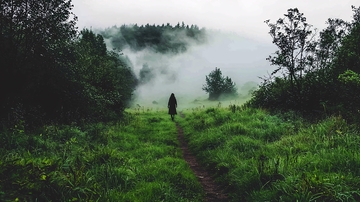 雾气缭绕的森林小路