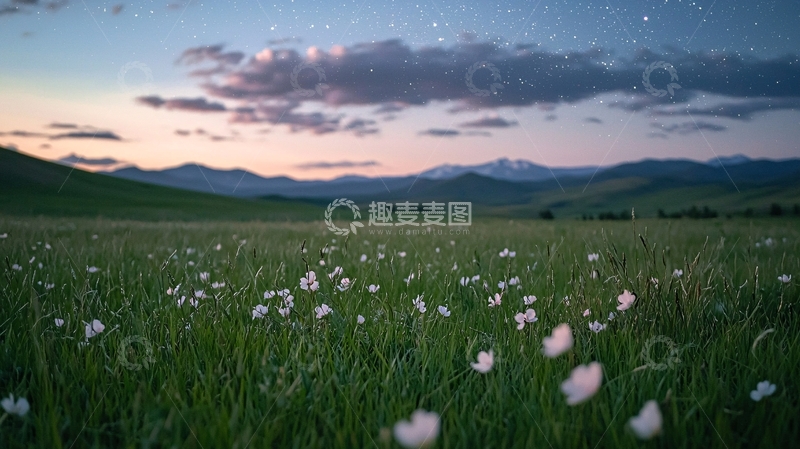 高清大图下载【趣麦麦图】绿草地上的花朵