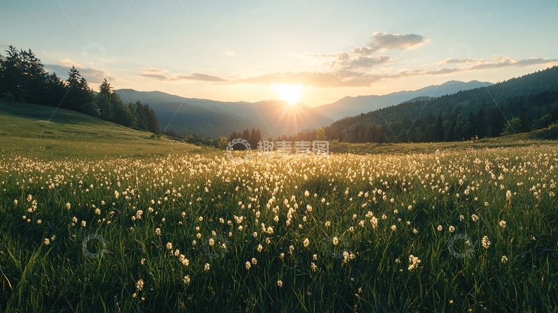 高清大图下载【趣麦麦图】阳光洒在山谷草地上