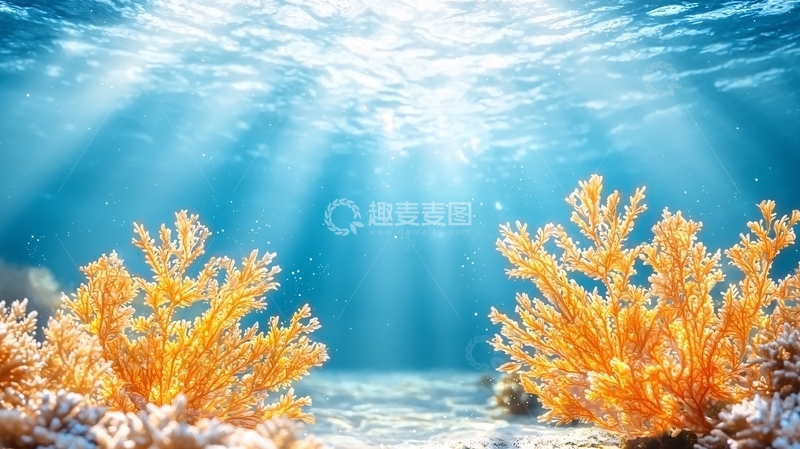 高清大图下载【趣麦麦图】海底珊瑚美景