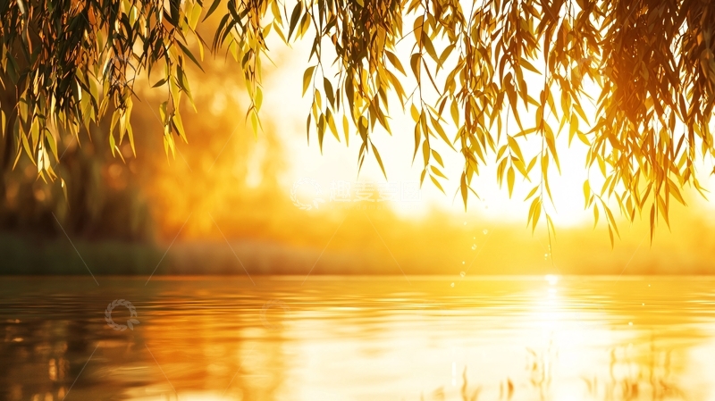 高清大图下载【趣麦麦图】阳光洒在湖面