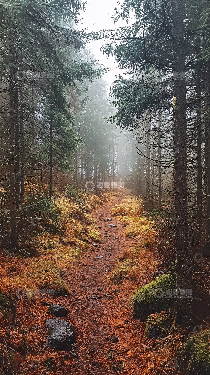 高清大图下载【趣麦麦图】秋日森林小径6