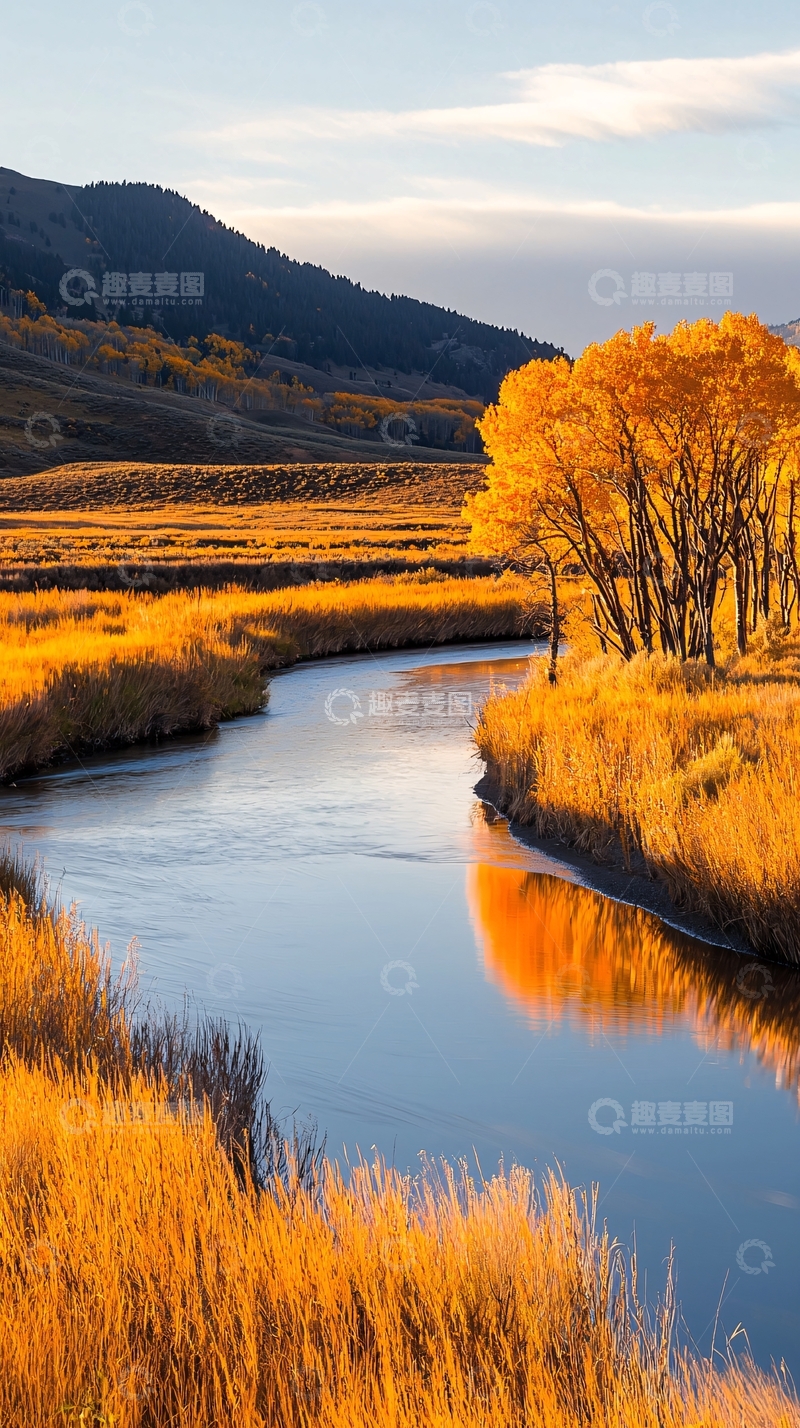高清大图下载【趣麦麦图】秋日河流与金色树林