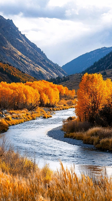 秋日山谷河流风景