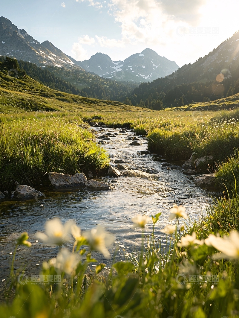 高清大图下载【趣麦麦图】山间小溪与野花