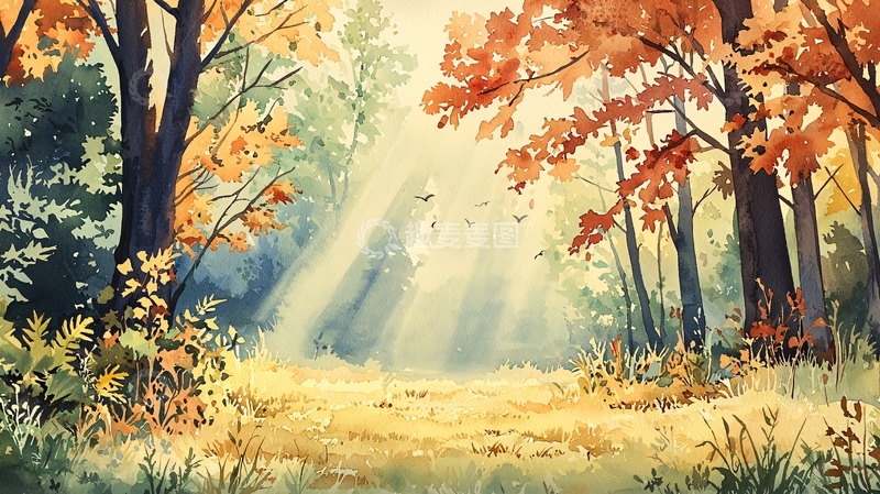 高清大图下载【趣麦麦图】秋日森林阳光透过树叶