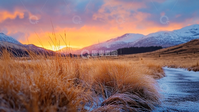 高清大图下载【趣麦麦图】金色草地夕阳下的山脉