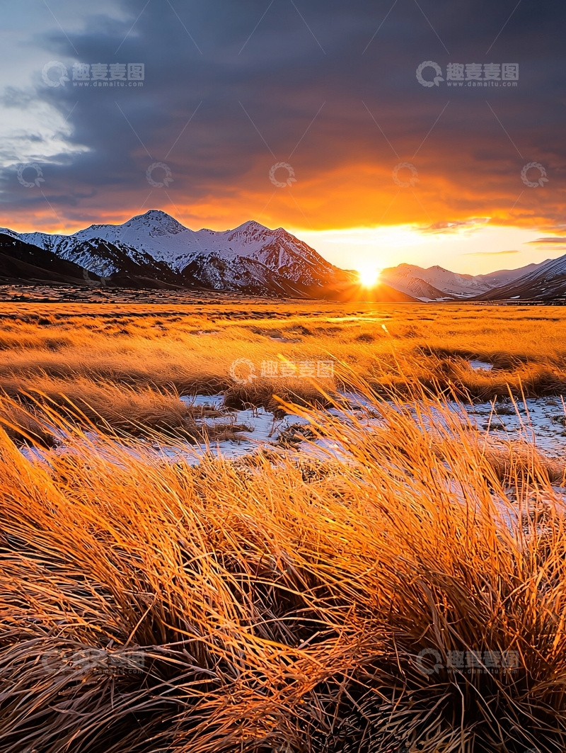 高清大图下载【趣麦麦图】金色阳光下的雪山草地